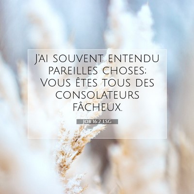 Job 16:2 Verset biblique expliqué