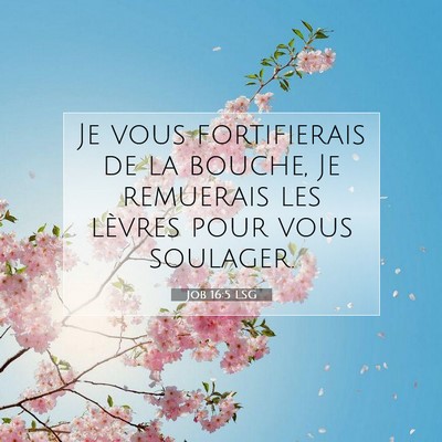 Job 16:5 Verset biblique expliqué
