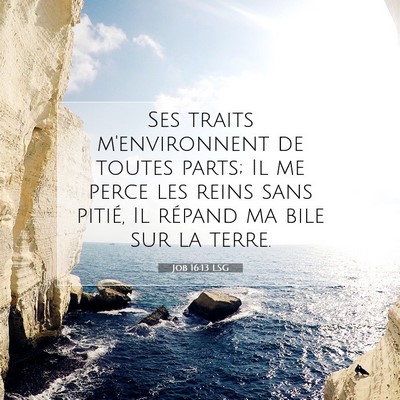 Job 16:13 Verset biblique expliqué