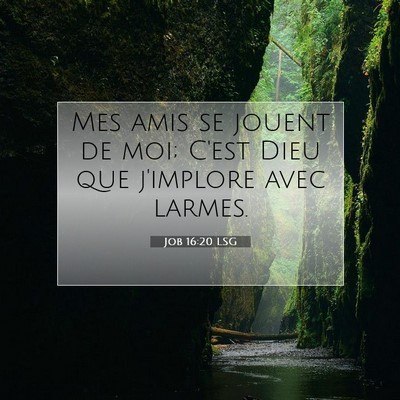 Job 16:20 Verset biblique expliqué