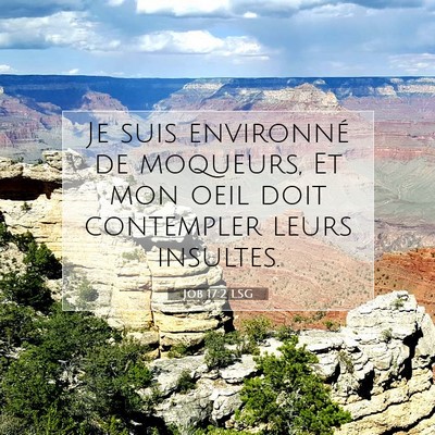Job 17:2 Verset biblique expliqué