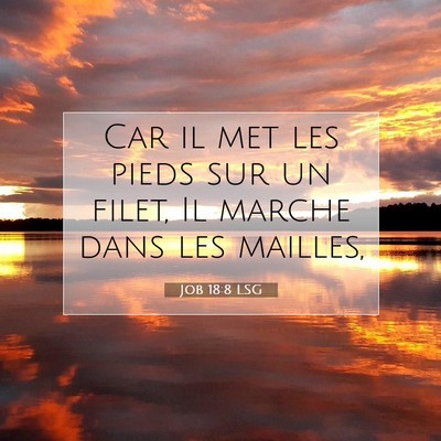 Job 18:8 LSG Image du verset biblique