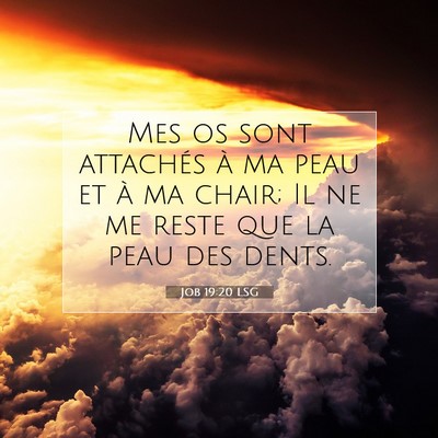 Job 19:20 Verset biblique expliqué