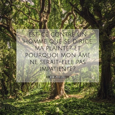 Job 21:4 Verset biblique expliqué