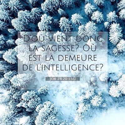 Job 28:20 Verset biblique expliqué
