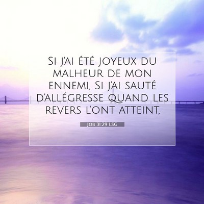 Job 31:29 LSG Image du verset biblique