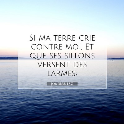 Job 31:38 LSG Image du verset biblique