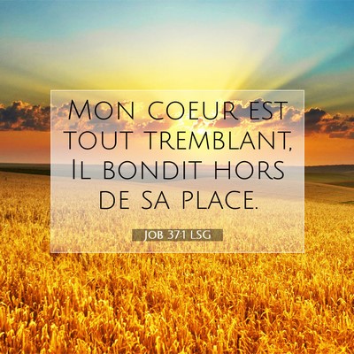 Job 37:1 LSG Image du verset biblique