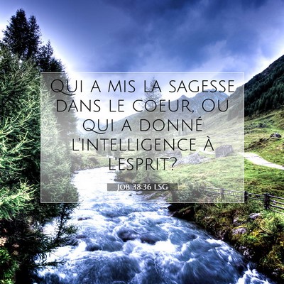 Job 38:36 Verset biblique expliqué