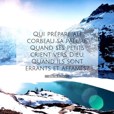 Job 38:41 LSG Image du verset biblique