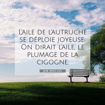Job 39:13 Verset biblique expliqué