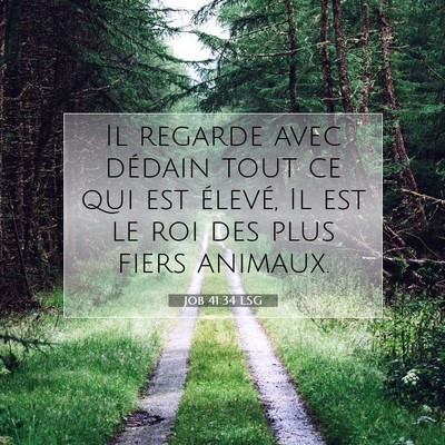Job 41:34 Verset biblique expliqué
