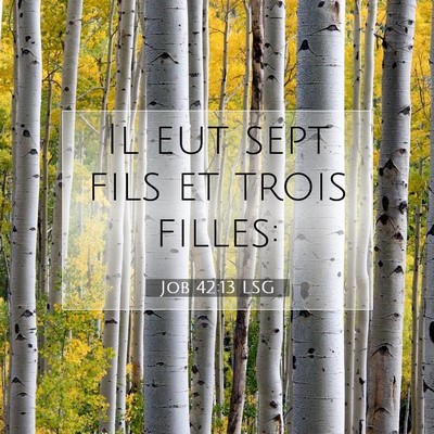 Job 42:13 Verset biblique expliqué