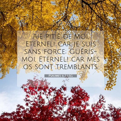 Psaumes 6:2 Verset biblique expliqué