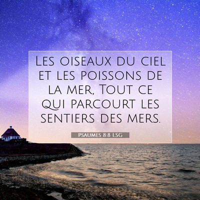 Psaumes 8:8 Verset biblique expliqué