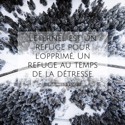 Psaumes 9:9 LSG Image du verset biblique