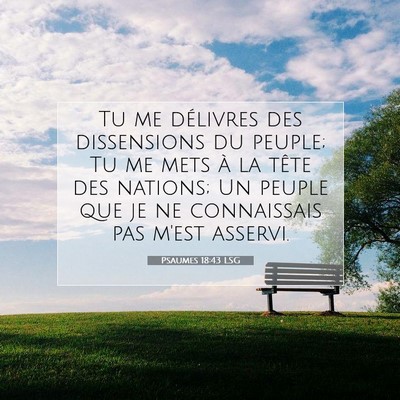 Psaumes 18:43 Verset biblique expliqué