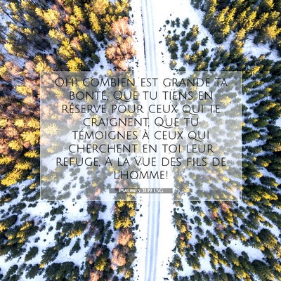 Psaumes 31:19 LSG Image du verset biblique