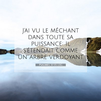 Psaumes 37:35 LSG Image du verset biblique