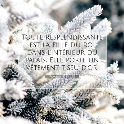 Psaumes 45:13 Verset biblique expliqué