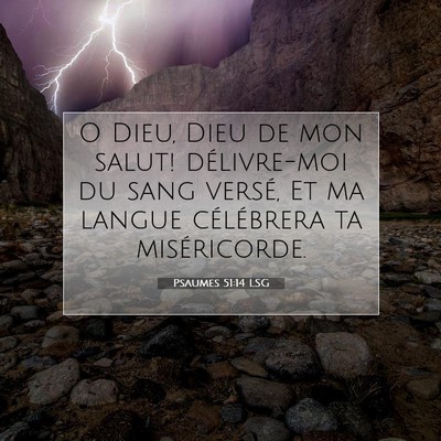 Psaumes 51:14 LSG Image du verset biblique