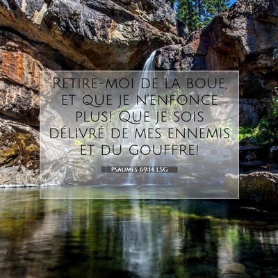 Psaumes 69:14 LSG Image du verset biblique