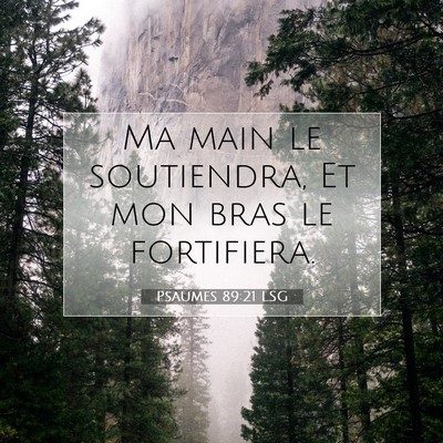 Psaumes 89:21 LSG Image du verset biblique