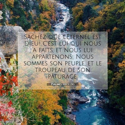Psaumes 100:3 LSG Image du verset biblique
