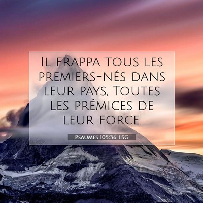 Psaumes 105:36 LSG Image du verset biblique