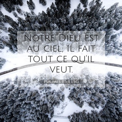 Psaumes 115:3 LSG Image du verset biblique