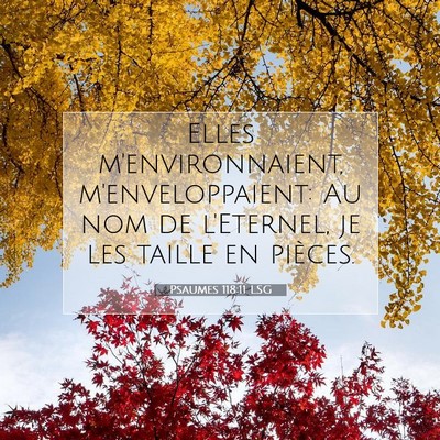 Psaumes 118:11 Verset biblique expliqué