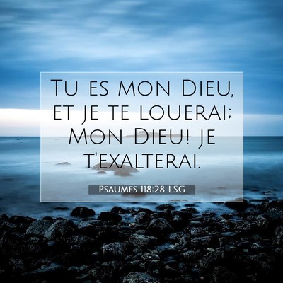 Psaumes 118:28 Verset biblique expliqué