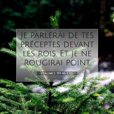 Psaumes 119:46 Verset biblique expliqué