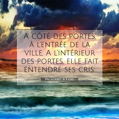 Proverbes 8:3 LSG Image du verset biblique
