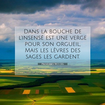 Proverbes 14:3 Verset biblique expliqué