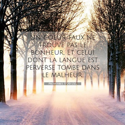 Proverbes 17:20 Verset biblique expliqué