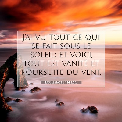 Ecclésiaste 1:14 Verset biblique expliqué