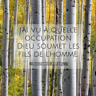 Ecclésiaste 3:10 LSG Image du verset biblique