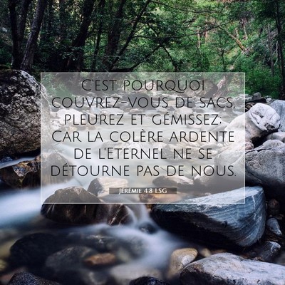 Jérémie 4:8 LSG Image du verset biblique