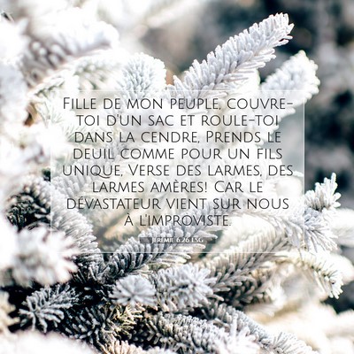 Jérémie 6:26 LSG Image du verset biblique
