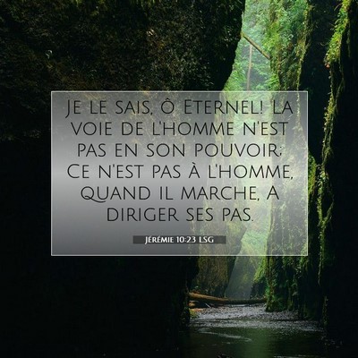Jérémie 10:23 LSG Image du verset biblique