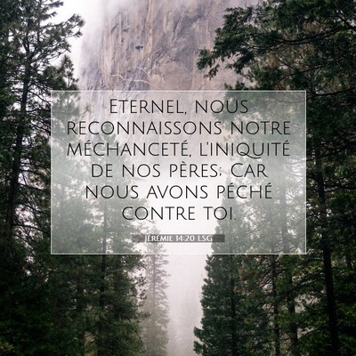 Jérémie 14:20 Verset biblique expliqué