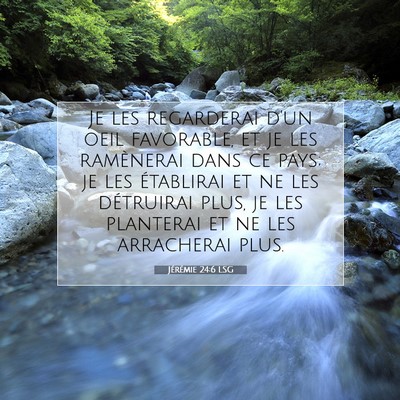 Jérémie 24:6 LSG Image du verset biblique