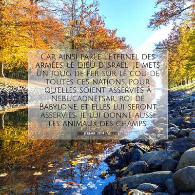 Jérémie 28:14 Verset biblique expliqué