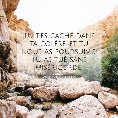 Lamentations 3:43 LSG Image du verset biblique