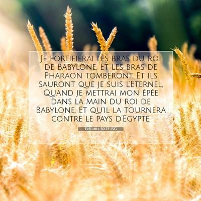 Ézéchiel 30:25 LSG Image du verset biblique