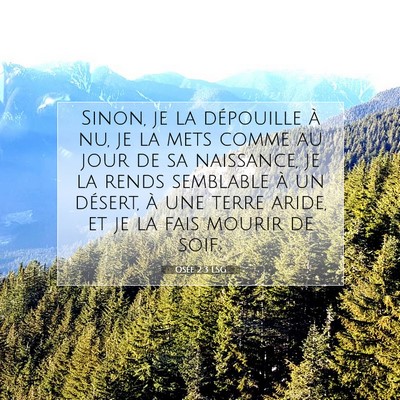 Osée 2:3 LSG Image du verset biblique