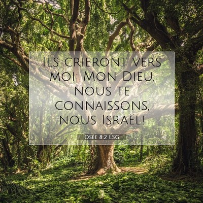 Osée 8:2 Verset biblique expliqué