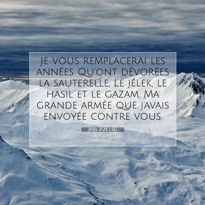 Joël 2:25 LSG Image du verset biblique