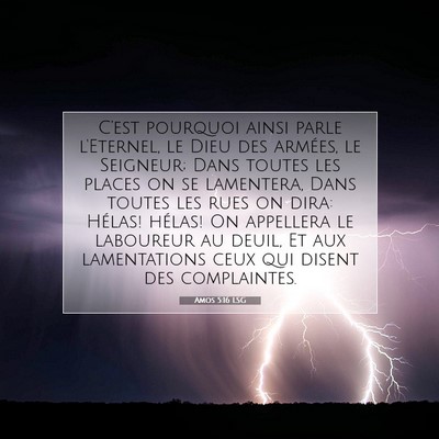 Amos 5:16 LSG Image du verset biblique